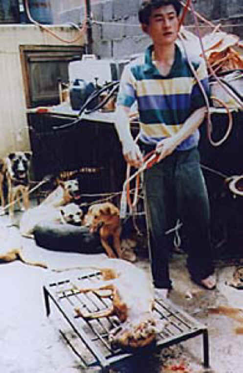 5896503.jpg